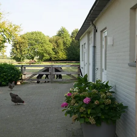 Het Rooversnest *