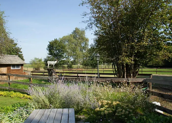 Lägenhet Het Rooversnest